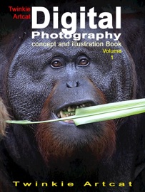Twinkie Artcat Digital Photography Concept And Illustration Book, Volume 1 - Twinkie Artcat