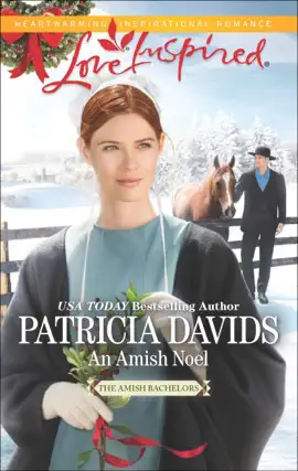 Read: An Amish Noel Book