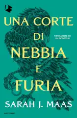 La corte di nebbia e furia