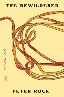 The Bewildered by Peter Rock