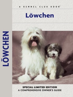 Lowchen by Juliette Cunliffe