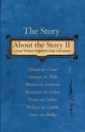 The Story About the Story Vol. II - David Foster Wallace & J.C. Hallman