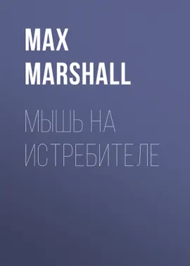 Мышь на истребителе