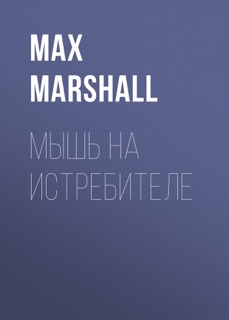 Мышь на истребителе by Max Marshall