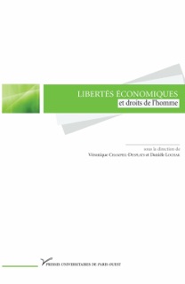 Libertés économiques et droits de l’homme by Véronique Champeil-Desplats & Danièle Lochak