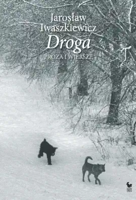Read: Droga
