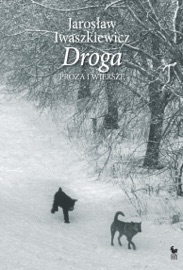 Droga - Jarosław Iwaszkiewicz