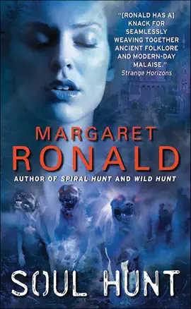 Read: Book Soul Hunt