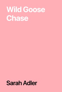 Wild Goose Chase by Sarah Adler