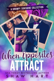 When Opposites Attract by Shaw Hart