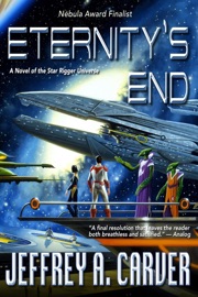 Eternity's End: A Novel of the Star Rigger Universe - Jeffrey A. Carver