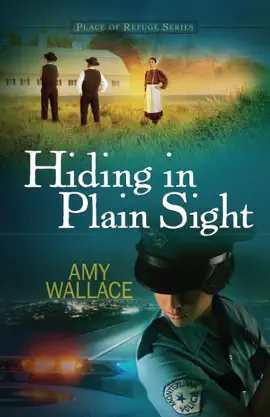 Read: Hiding in Plain Sight Book