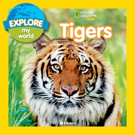 Explore My World: Tigers - Jill Esbaum