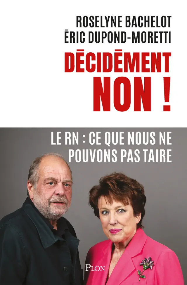 Décidément NON ! - Le RN : Ce que nous ne pouvons pas taire