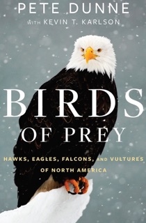 Birds of Prey by Pete Dunne & Kevin T. Karlson