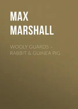 Wooly Guards – Rabbit &amp; Guinea Pig