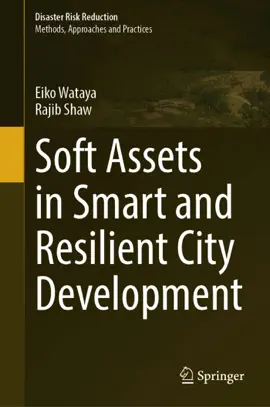 Read: Book Soft Assets in Smart and Resilient City Development