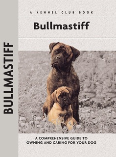 Bullmastiff by Juliette Cunliffe