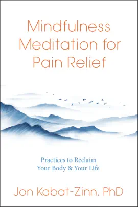 Read: Mindfulness Meditation for Book Pain Relief