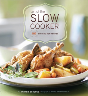 Art of the Slow Cooker by Andrew Schloss