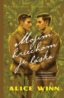 Mojím hriechom je láska by Alice Winn