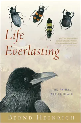 Read: Book Life Everlasting