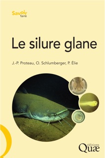 Le silure glane by Olivier Schlumberger, Pierre Elie & Jean-Pierre Proteau