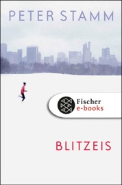 Blitzeis - Peter Stamm