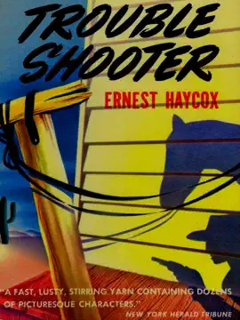Read: Book Trouble Shooter