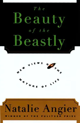 The Beauty Of The Beastly