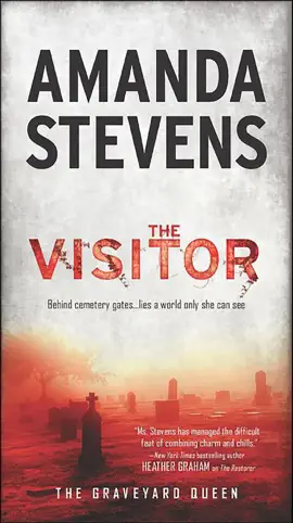Read: Book The Visitor