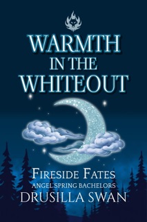 Warmth in the Whiteout by Drusilla Swan