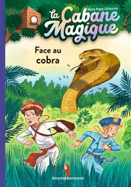 Read: La cabane magique, Book Tome 40