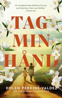 Tag min hånd by Dolen Perkins-Valdez