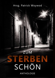 Zum Sterben schön by Christiane Prokop, Alex Roller, Andreas Gruber, Astrid Miglar, Astrid Plötner, Beatrice Braune, Carola Christiansen, Christiane Landgraf, Edith Anna Polkehn, Heike Meckelmann, Ina Linger, Ingrid Schmitz, Isa Klink, Marie Bastide, Leo Büchner, Maike Johnke, Patrick Woywood, Sybille Baecker, Tanja Wenz, Thomas Herzberg, Viola Eigenbrodt, Ana Dee, Steffen Schulze, Noah Fitz, Jürgen Hammerich, Marsali Taylor, Chris Karlden & Katharina Gerlach