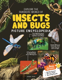 Explore Fantastic World of Insects And Bugs Picture Encyclopedia by Wonder House Books