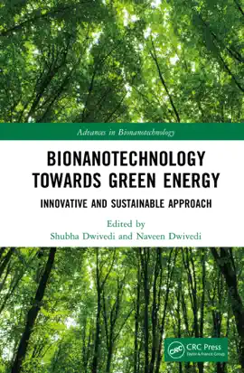 Read: Bionanotechnology Towards Green Energy Book