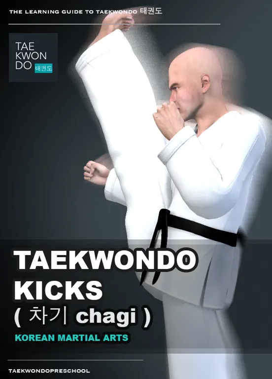 Taekwondo Kicks ( 차기 chagi )