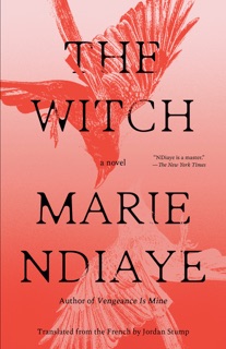 The Witch by Marie NDiaye & Jordan Stump