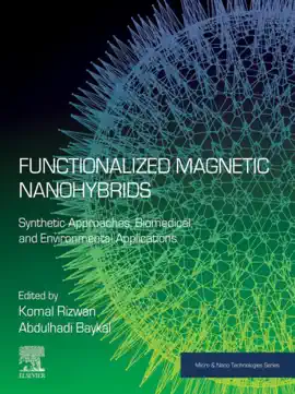 Read: Book Functionalized Magnetic Nanohybrids