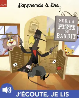 Read: Sur la piste du Book bandit
