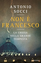 Non è Francesco - Antonio Socci