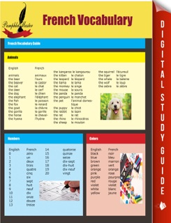 French Vocabulary by Pamphlet Master
