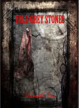Read: Cold Grey Book Stones