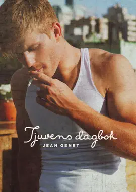 Read: Tjuvens dagbok Book