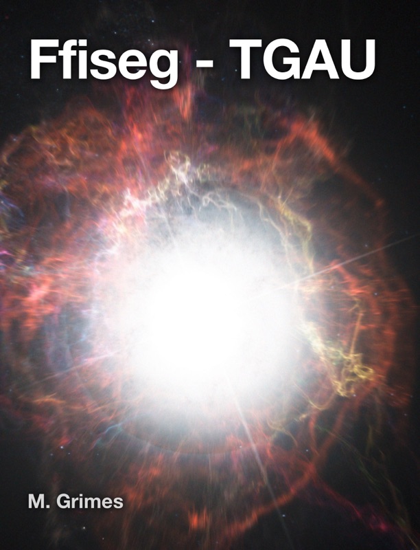 Ffiseg - TGAU