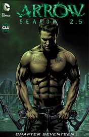 Arrow: Season 2.5 (2014-) #17 - Marc Guggenheim & Joe Bennett