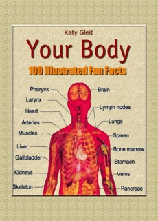 Your Body: 100 Illustrated Fun Facts by Katy Gleit