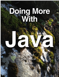 Doing More With Java