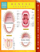 Dental Anatomy Speedy Study Guides - Speedy Publishing